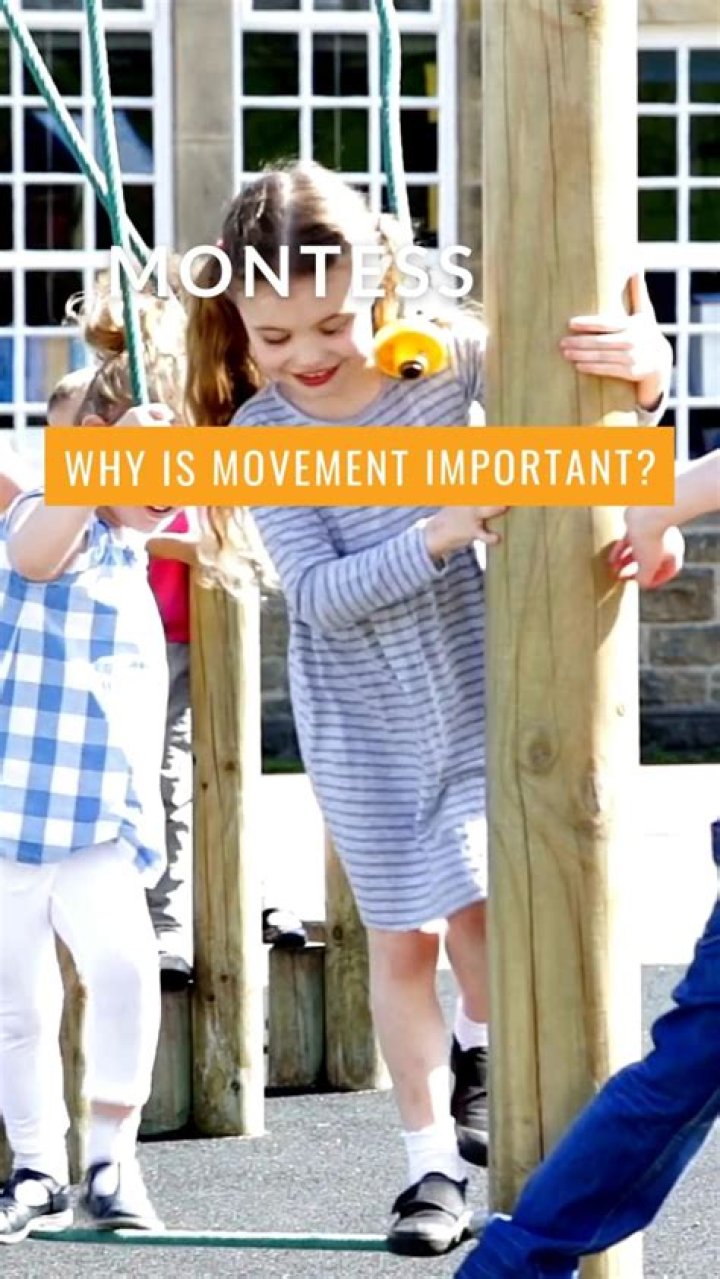 What is movement in Montessori
