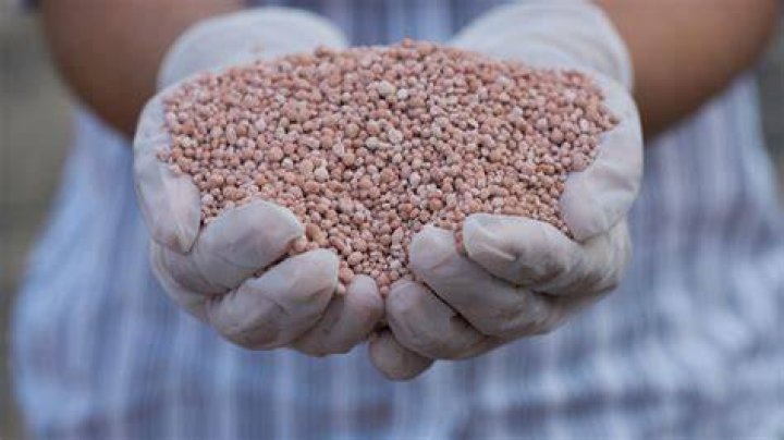 What is potash fertilizer