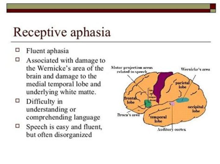 What is receptive aphasia