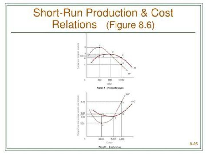 What is short run cost of production