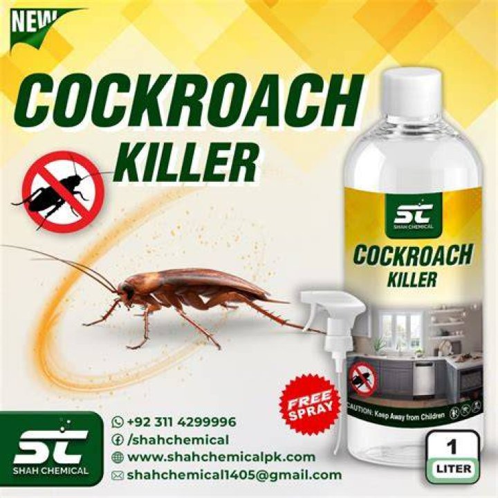 What is the best chemical to kill cockroaches
