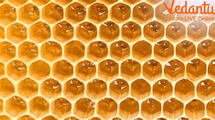What is the best color to paint a honey bee hive