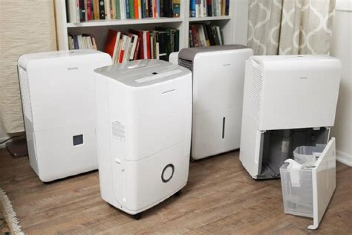 What is the best home dehumidifier