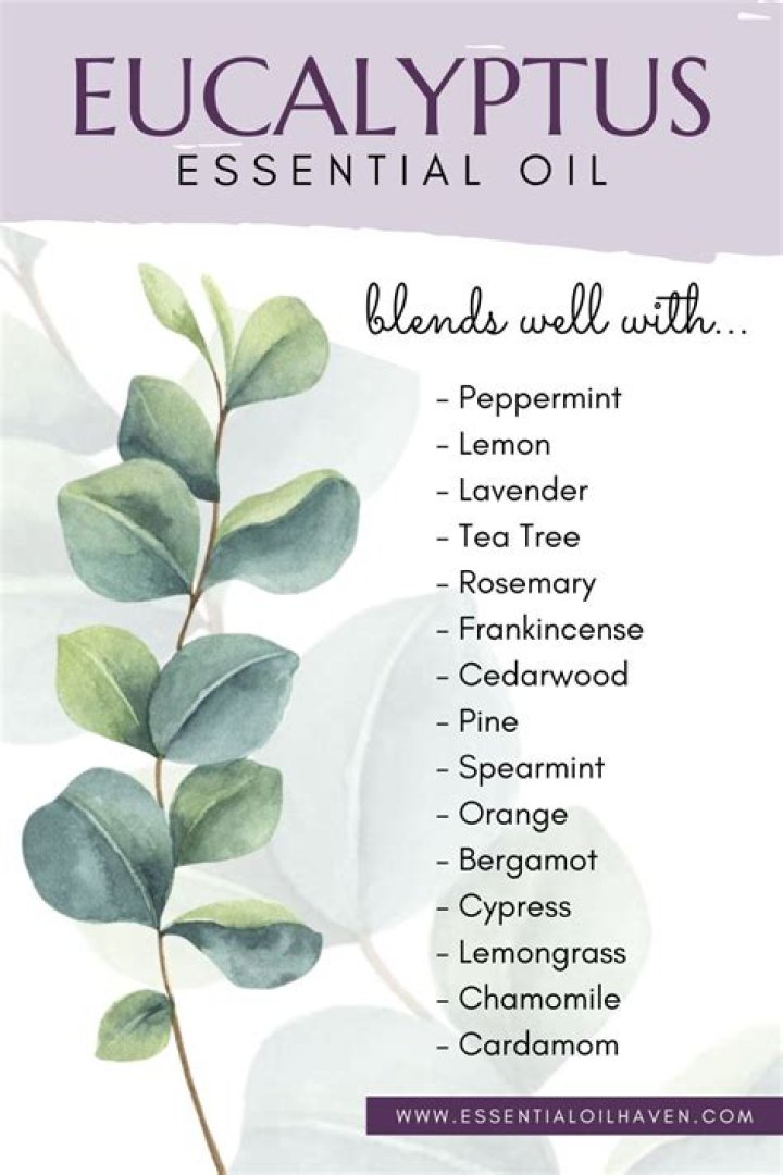 What is the difference between eucalyptus oil and eucalyptus essential oil