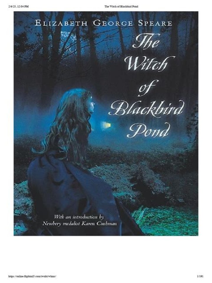 What is the main theme of the Witch of Blackbird Pond