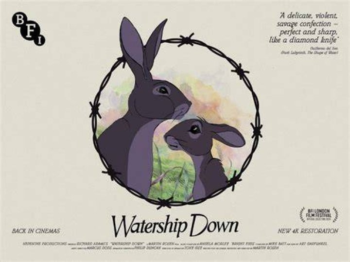 What is the main theme of Watership Down