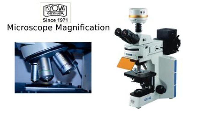 What is the maximum magnification of a dissecting microscope