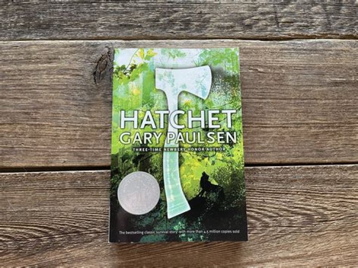 What is the message of the book hatchet