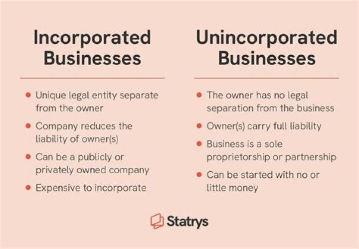 What is the most widely used unincorporated business