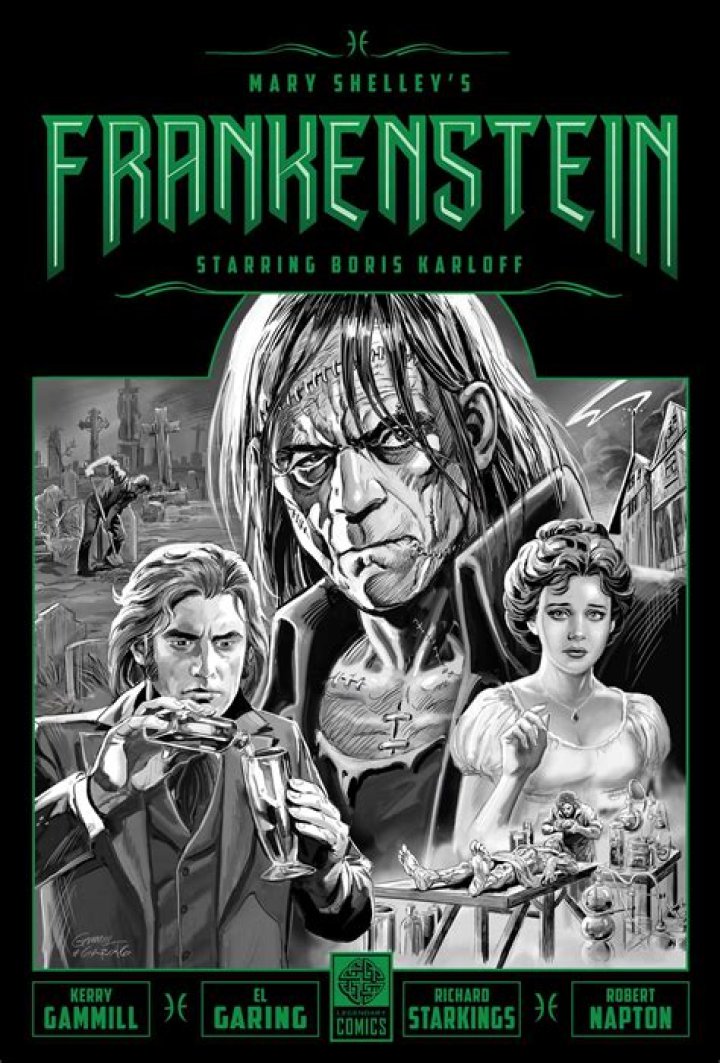 What is the name of the family servant in Chapter 7 of Shelleys Frankenstein