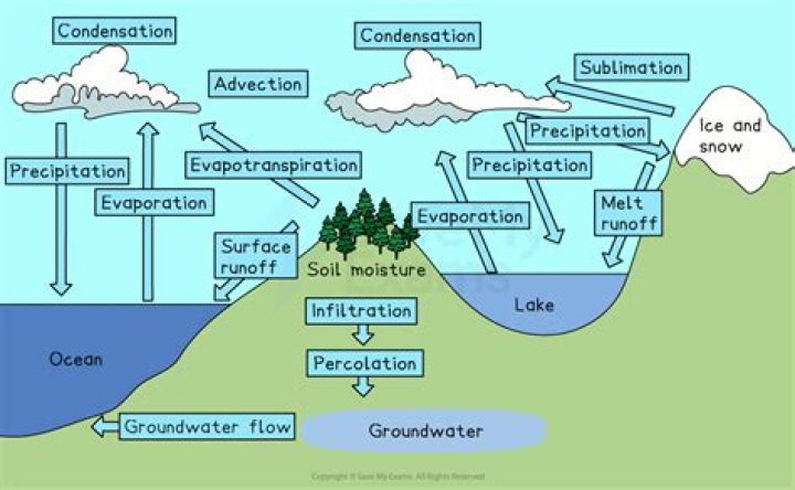 What is the process of water moving through the world by precipitation evaporation and condensation called