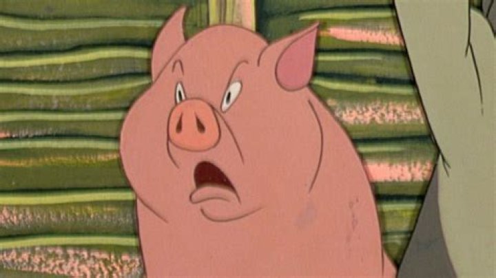 What is the role of old major in Animal Farm