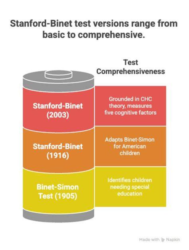 What is the Stanford Binet test used for