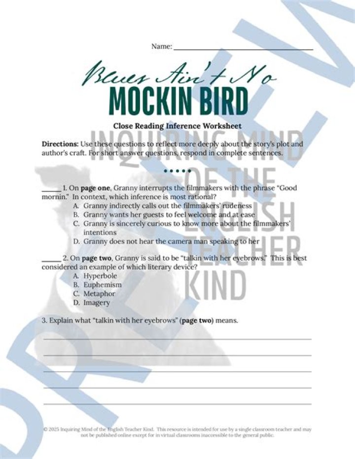 What is the theme of Blues Aint No mockin bird