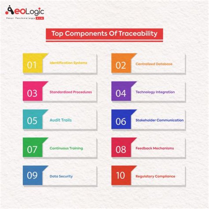 What is traceability report