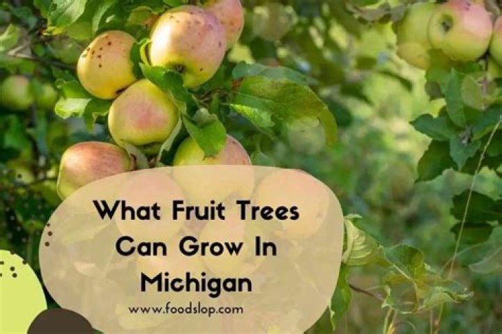 What kind of fruit trees can grow in Michigan