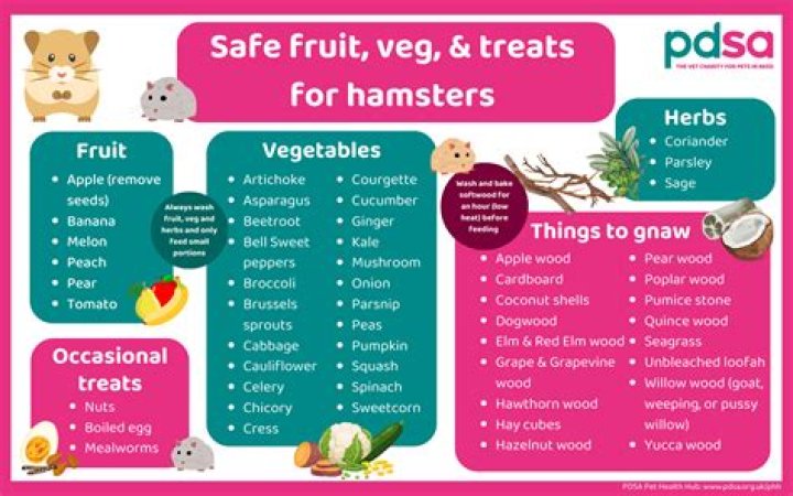 What kind of paint is safe for hamsters