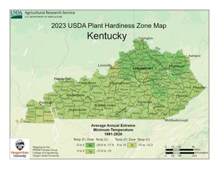What planting zone is Louisville Kentucky in