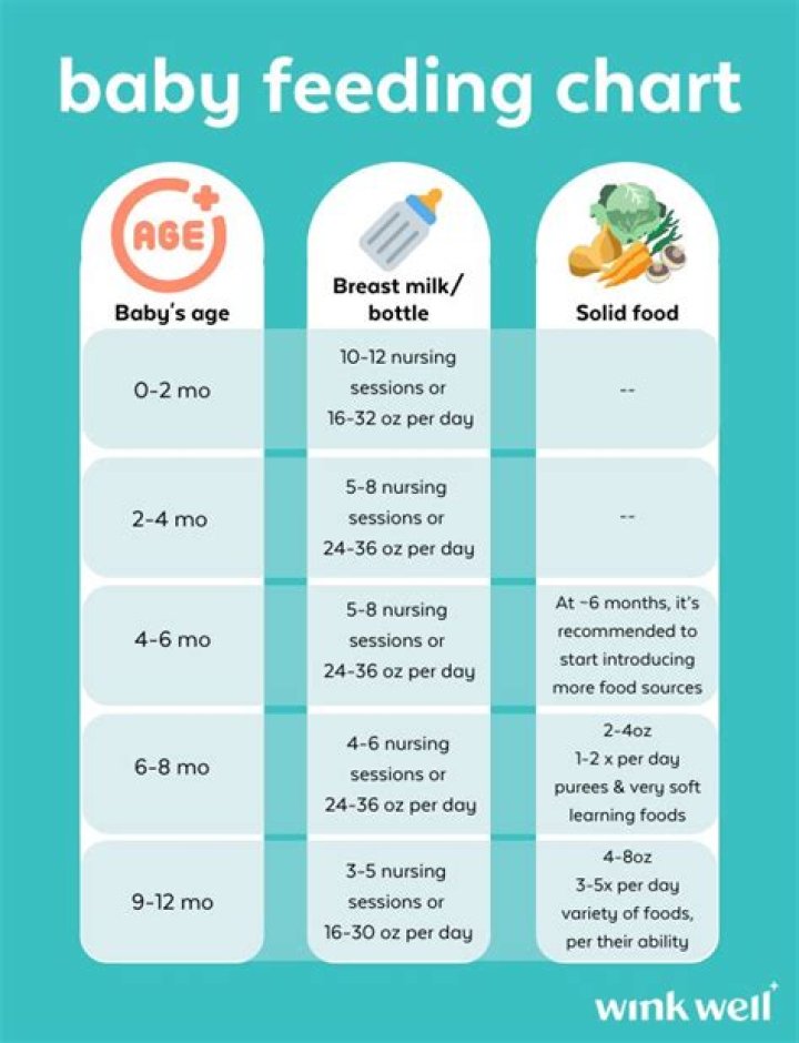 What should my baby be eating at 12 months