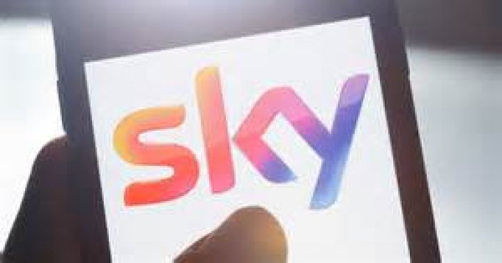 What type of broadcaster is sky