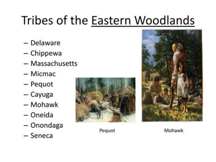 What was the environment of the Eastern woodlands