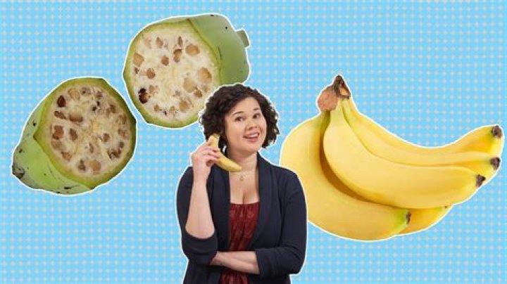 What was the first Banana Republic