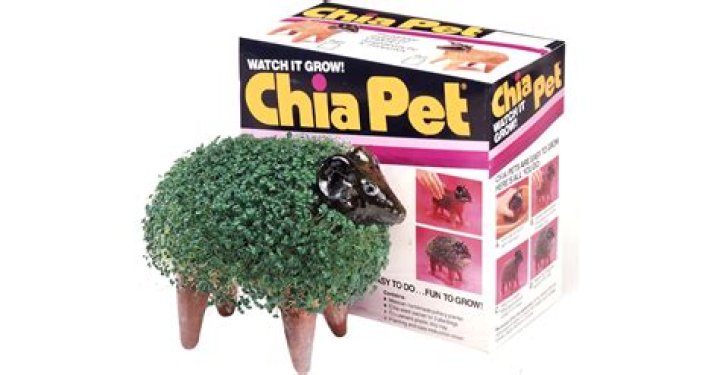 What was the very first Chia Pet