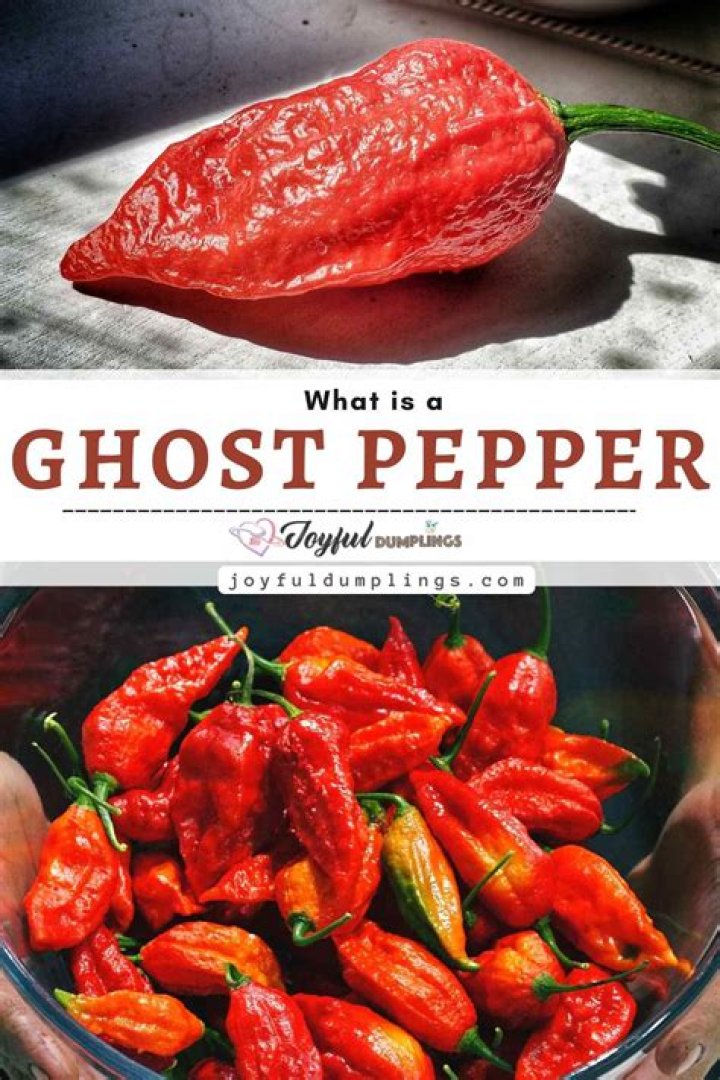 What will happen if you eat a ghost pepper