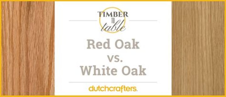 Whats the difference between a burr oak and a white oak