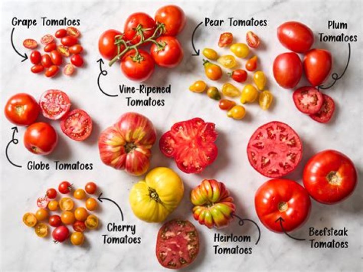Whats the difference between green tomatoes and red tomatoes