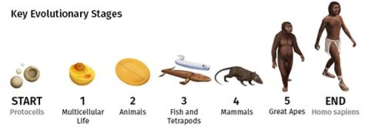 When and where did humans first use clay