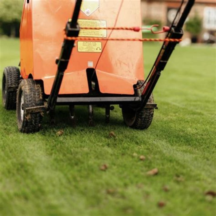 When Should I aerate my lawn in Southern California