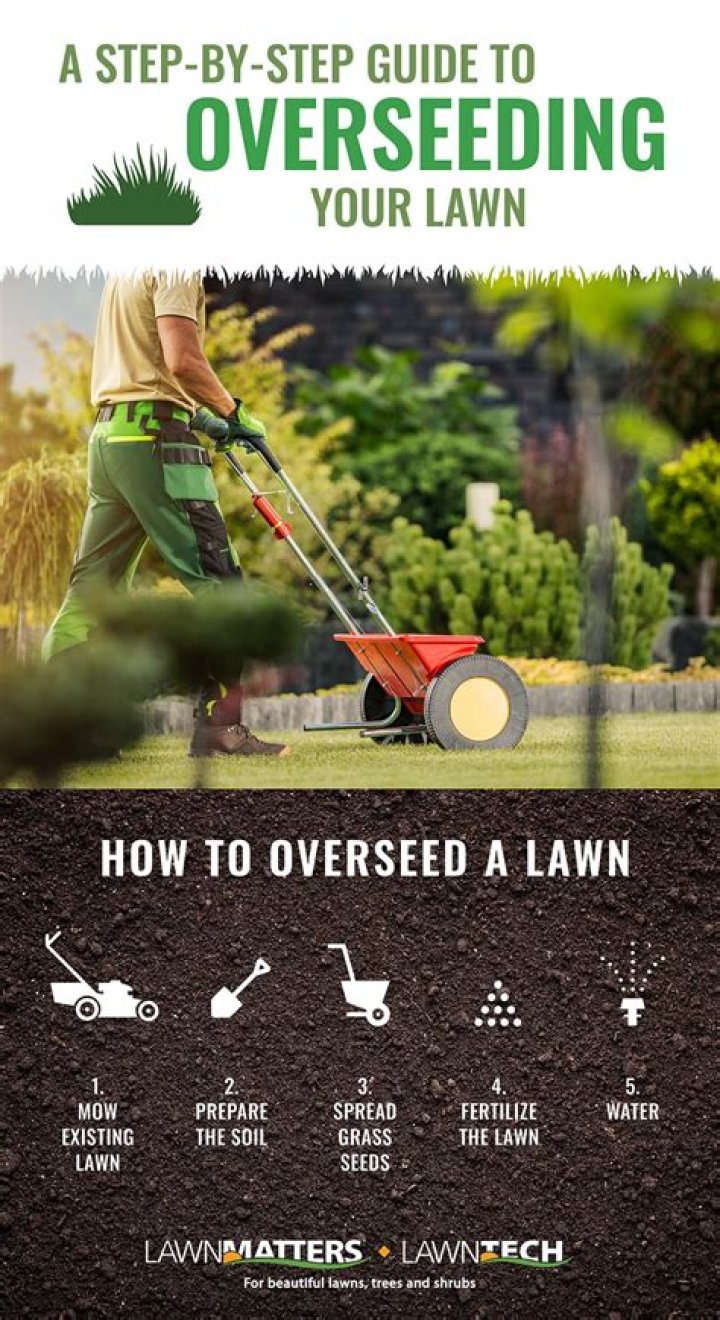 When should I overseed my lawn in Michigan