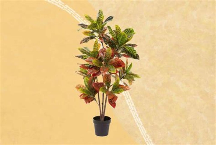 Where do I buy fake plants