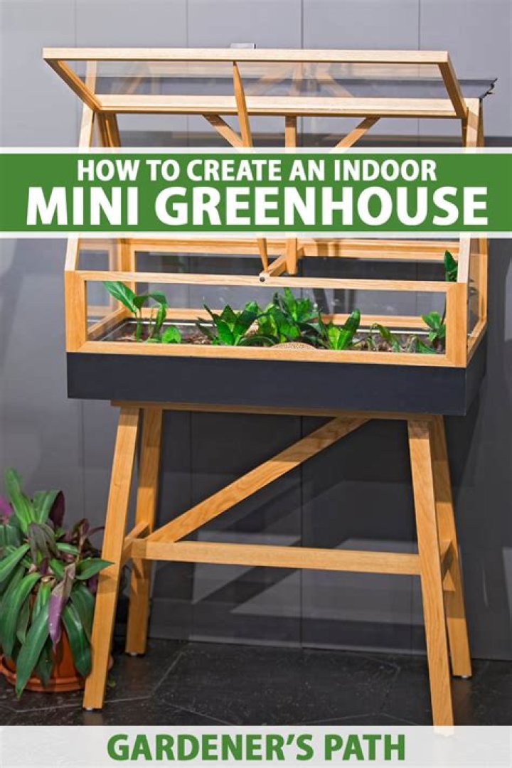 Where do you place a mini greenhouse