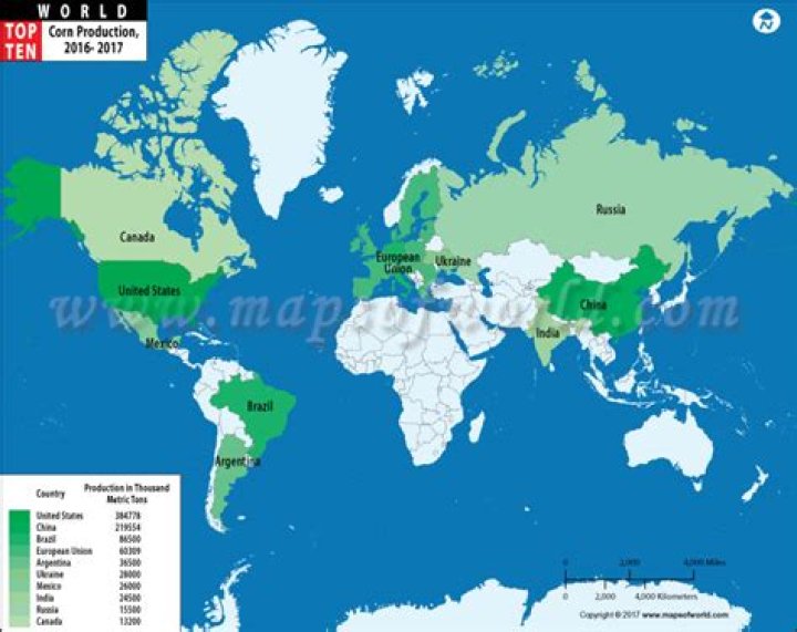 Where is corn grown in the world