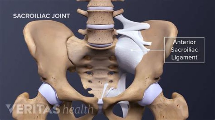 Where is the sacroiliac joint