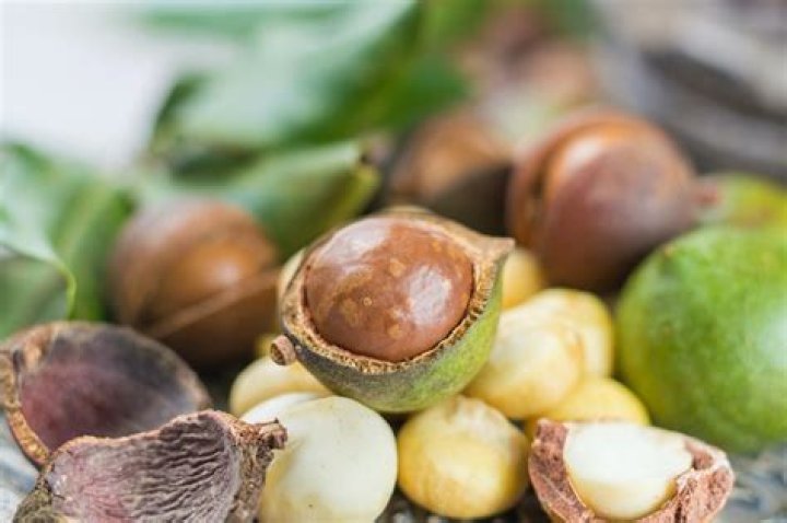 Which Hawaiian island grows macadamia nuts