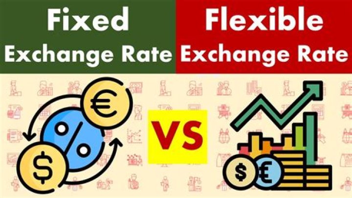 Which is preferable a fixed or a flexible exchange rate Why