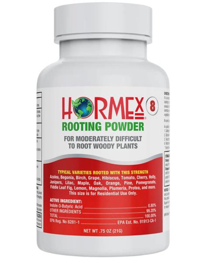 Which rooting hormone is the best