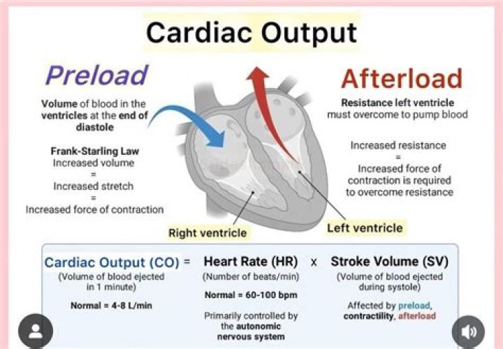 Which side of the heart is primarily affected by preload