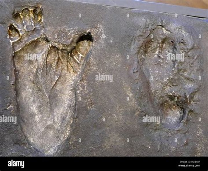 Which technique was used to date the Laetoli footprints