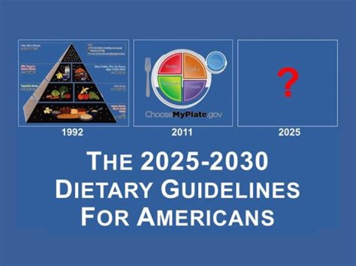 Who developed the Dietary Guidelines and why