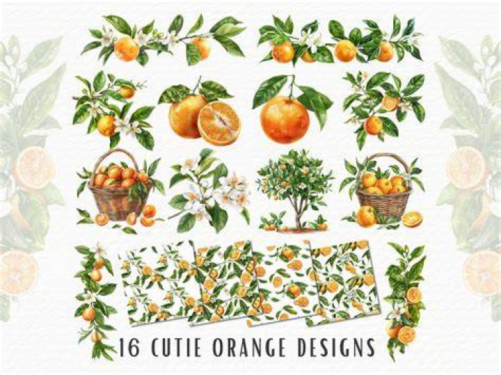 Who invented the cutie orange