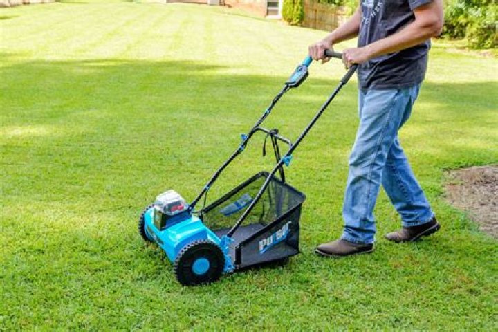 Who makes the best reel lawn mower