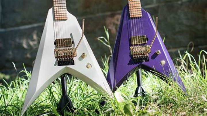 Who owns Wolf guitar