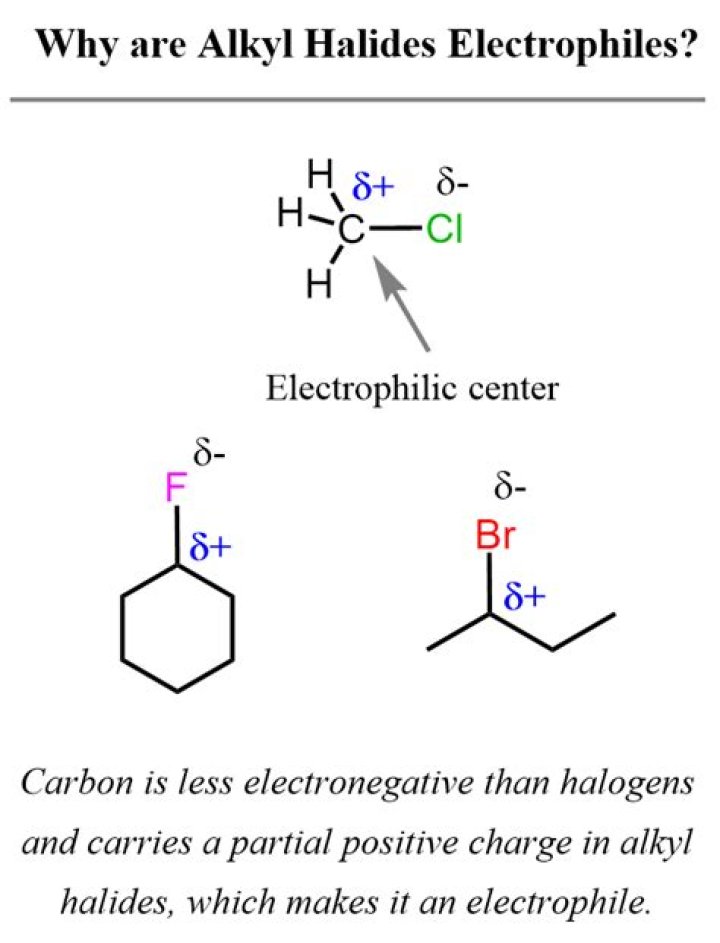 Why are alkyl halides good Electrophiles