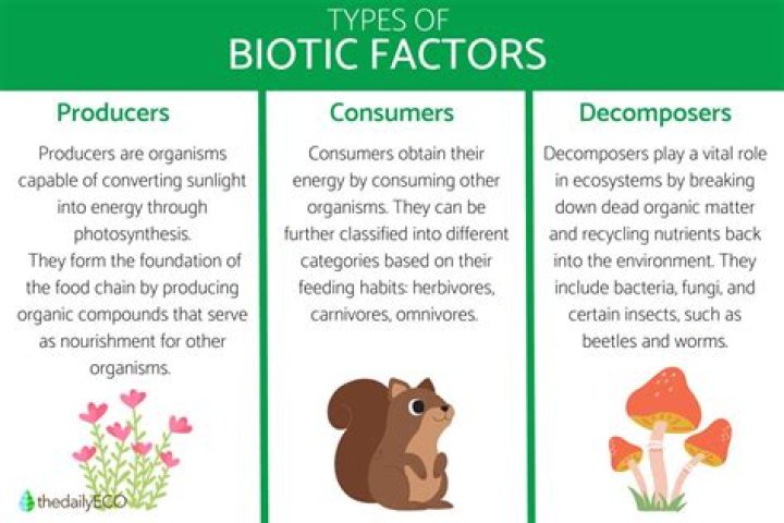 Why are plants biotic factors