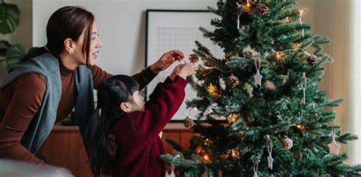 Why are real Christmas trees so expensive