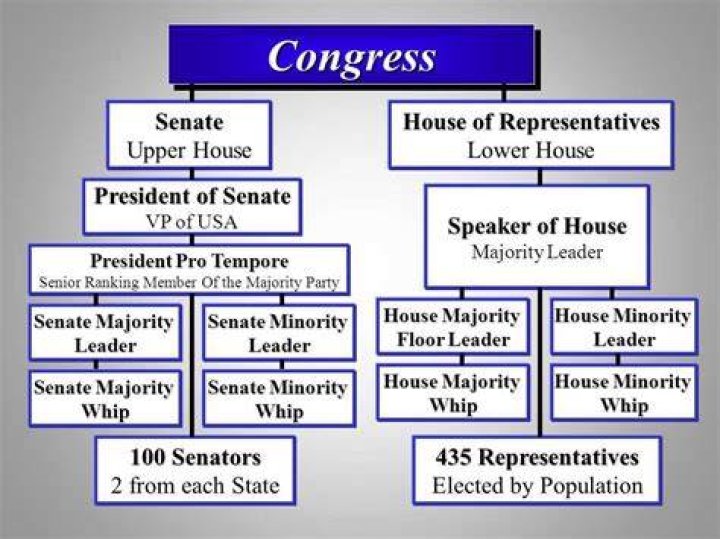 Why are there more House members than Senate members quizlet
